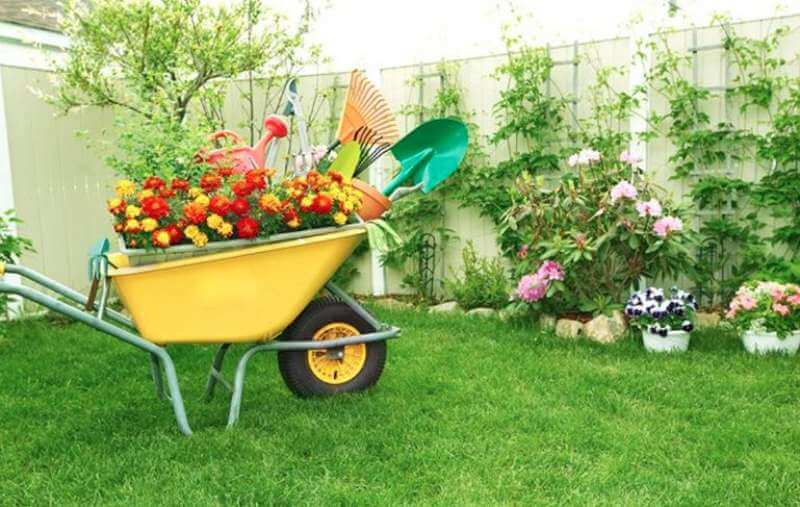 10 Ways to Keep Your Home Garden Healthy