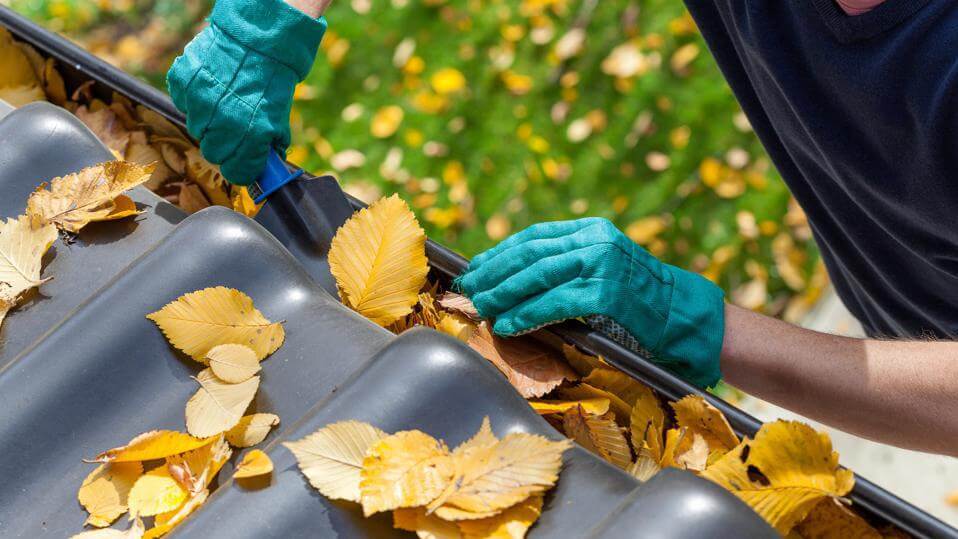 Are You Overpaying for Gutter Cleaning Services? READ THIS!